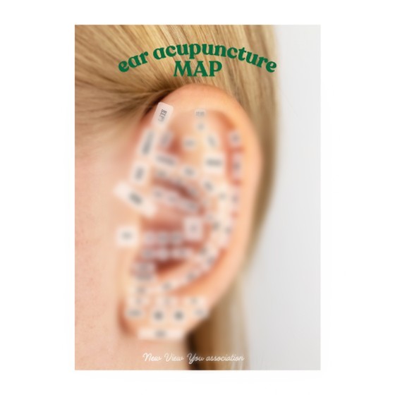 耳つぼMAP